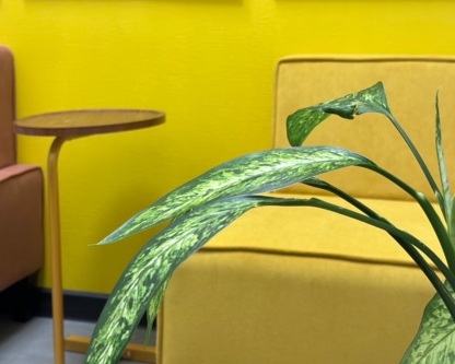 г. Санкт-Петербург, Центр на Большой Конюшенной