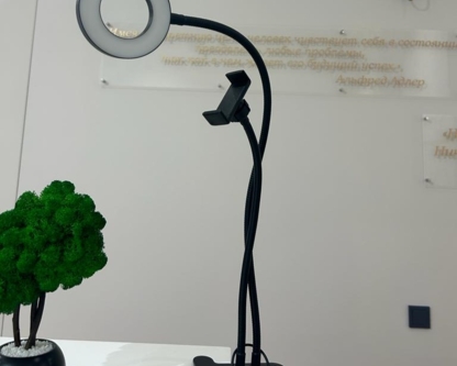 Кольцевая лампа на прищепке