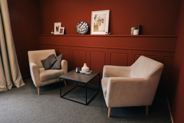 2й-бордо 2 кресла ❄️