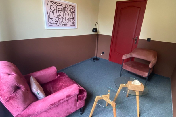 "Бордовый кабинет" ❄️