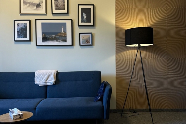 "Синий кабинет" ❄️